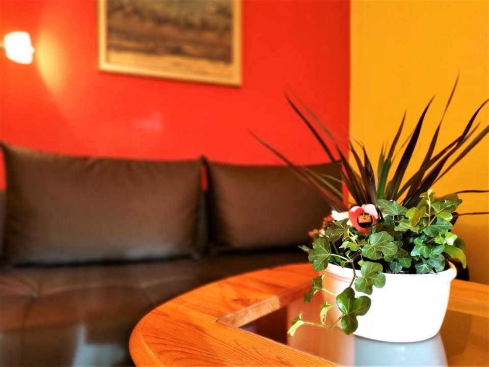 Living room, Photo of the whole room, Decorative detail, Seating area