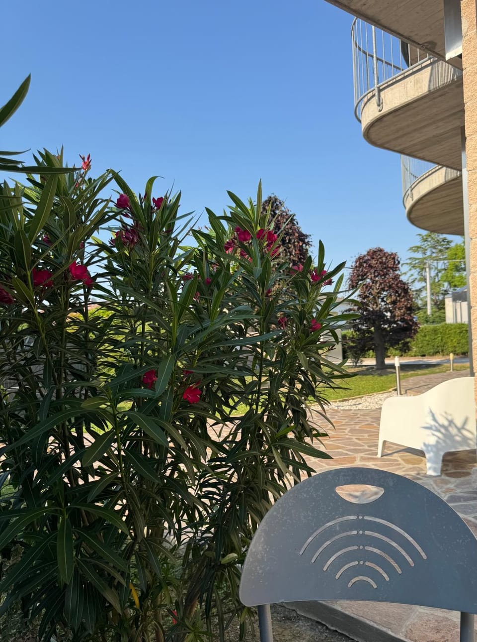 Spring, Day, Garden, Garden, View (from property/room)