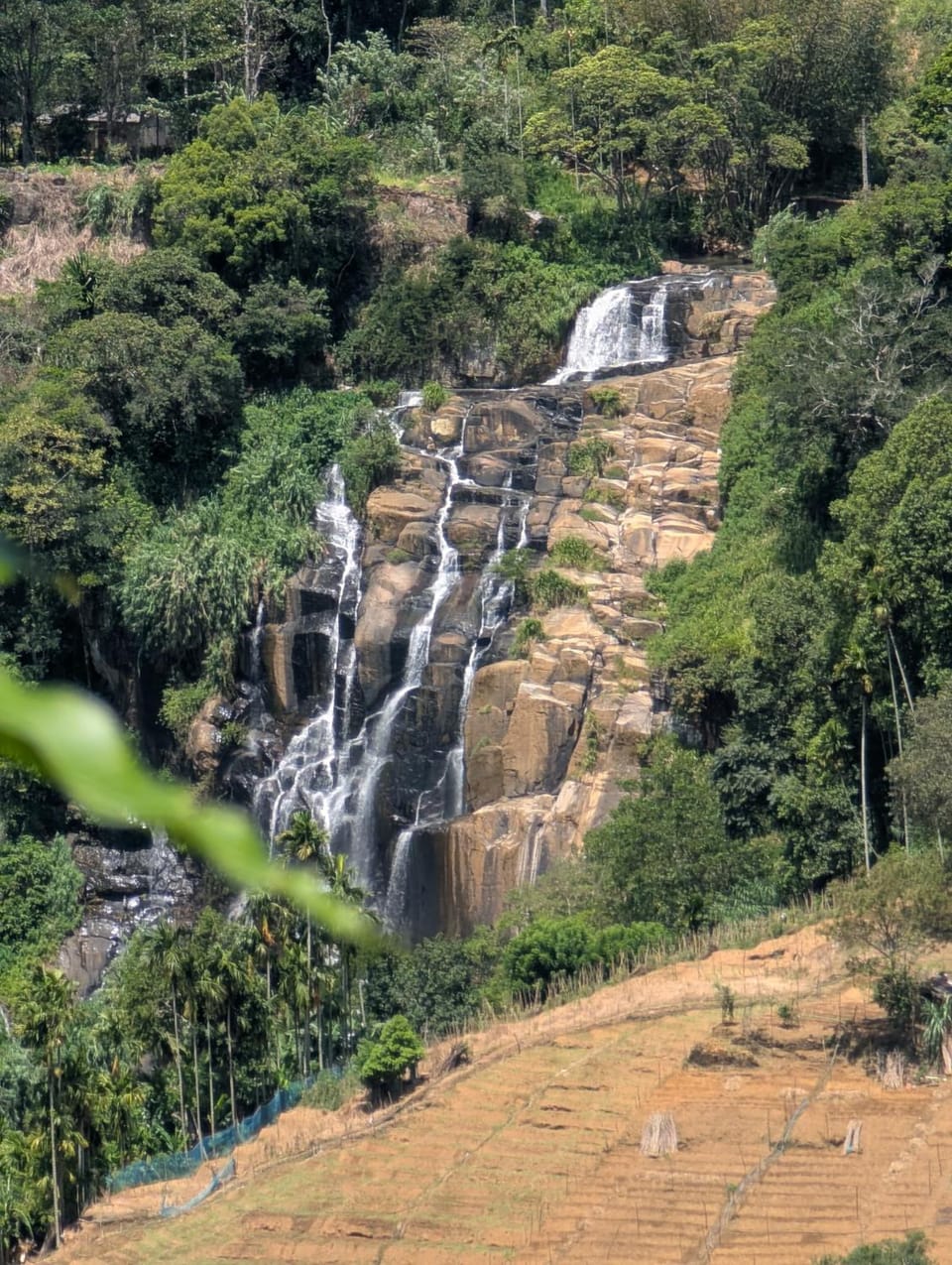 Natural landscape