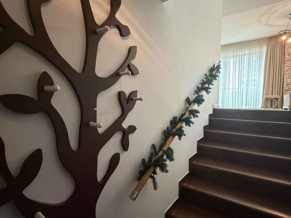 Apartment A36 Silver Mountain Apartment in Brasov