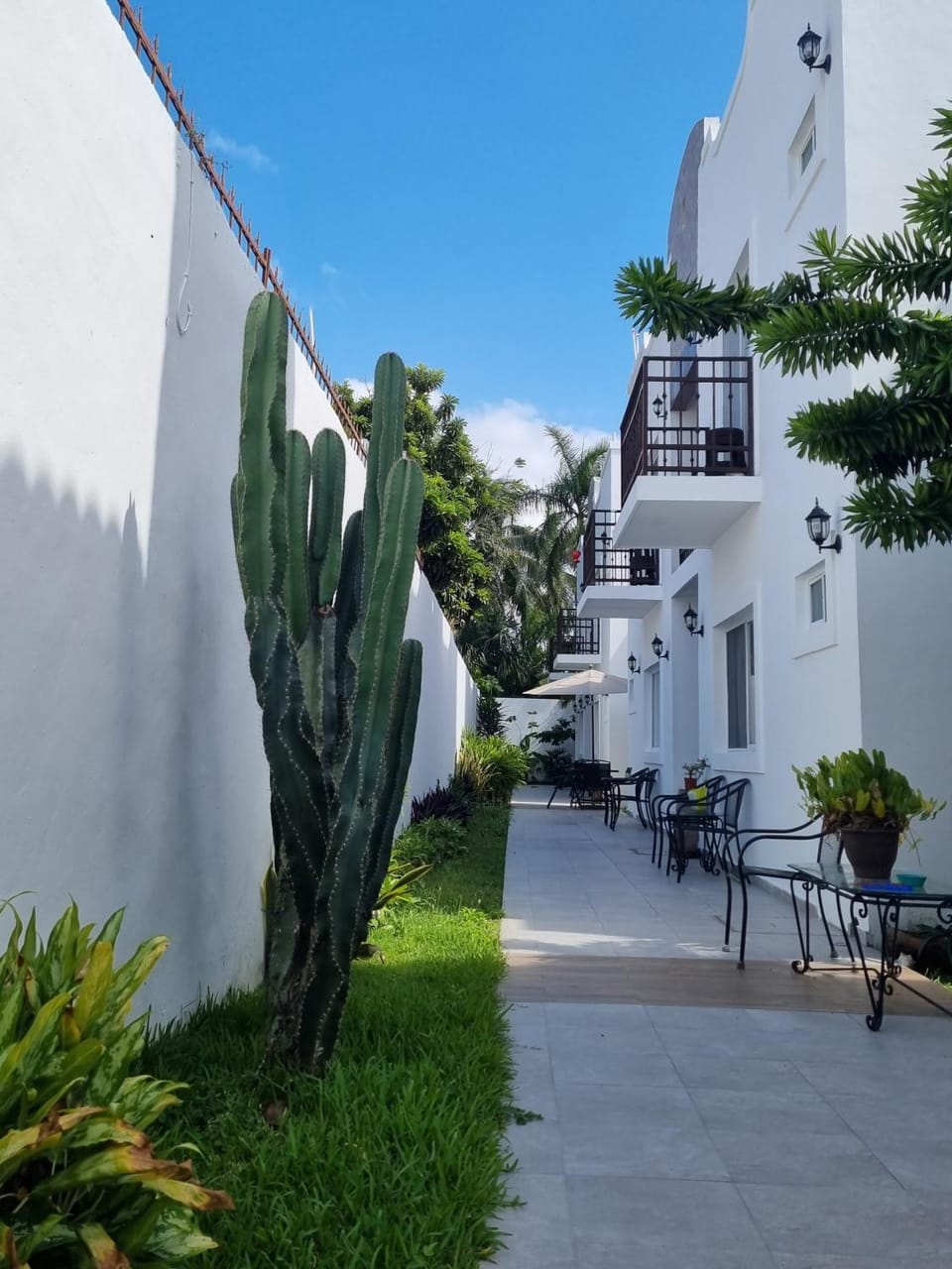 Day, Garden, Garden view