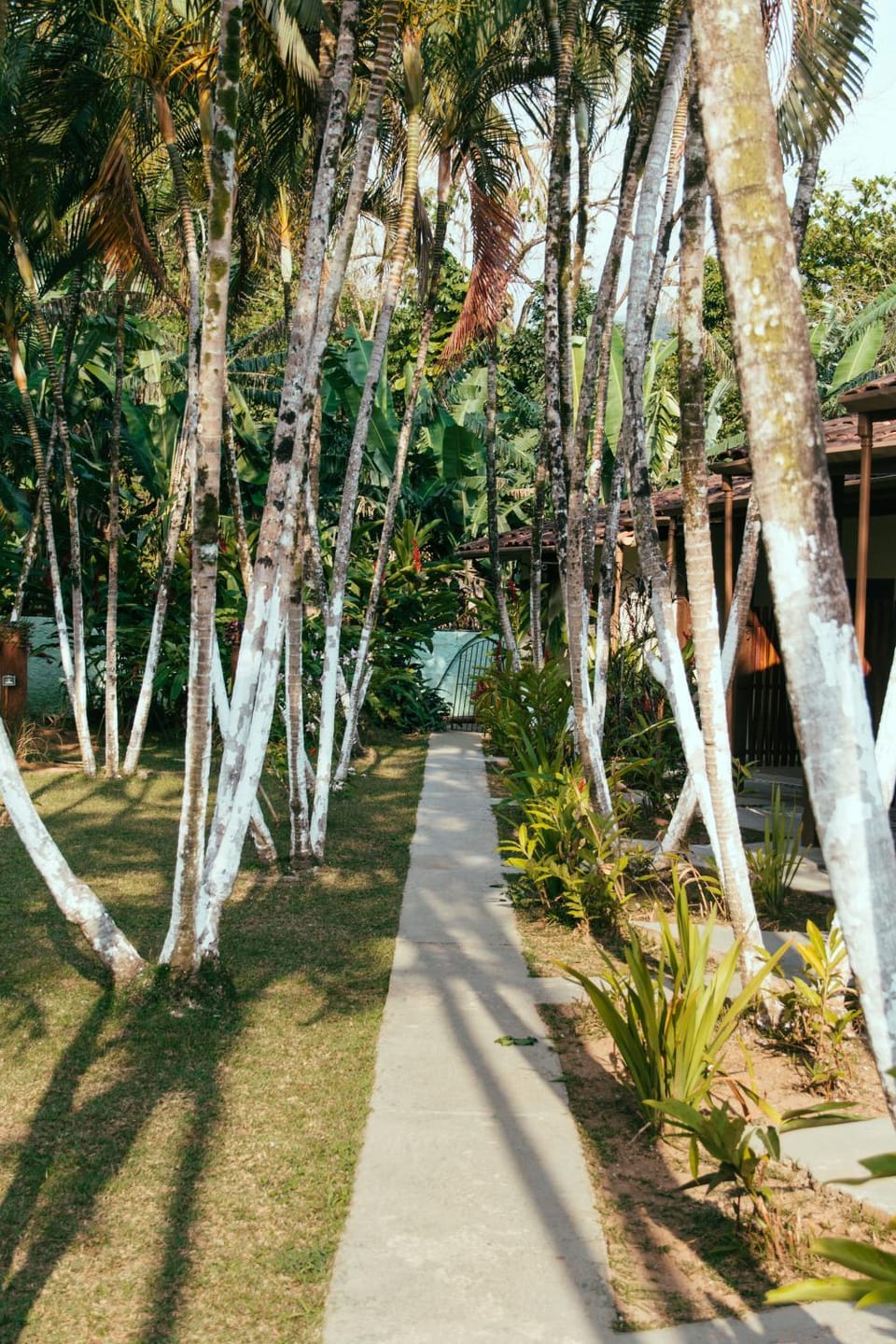 Patio, Garden, Garden view