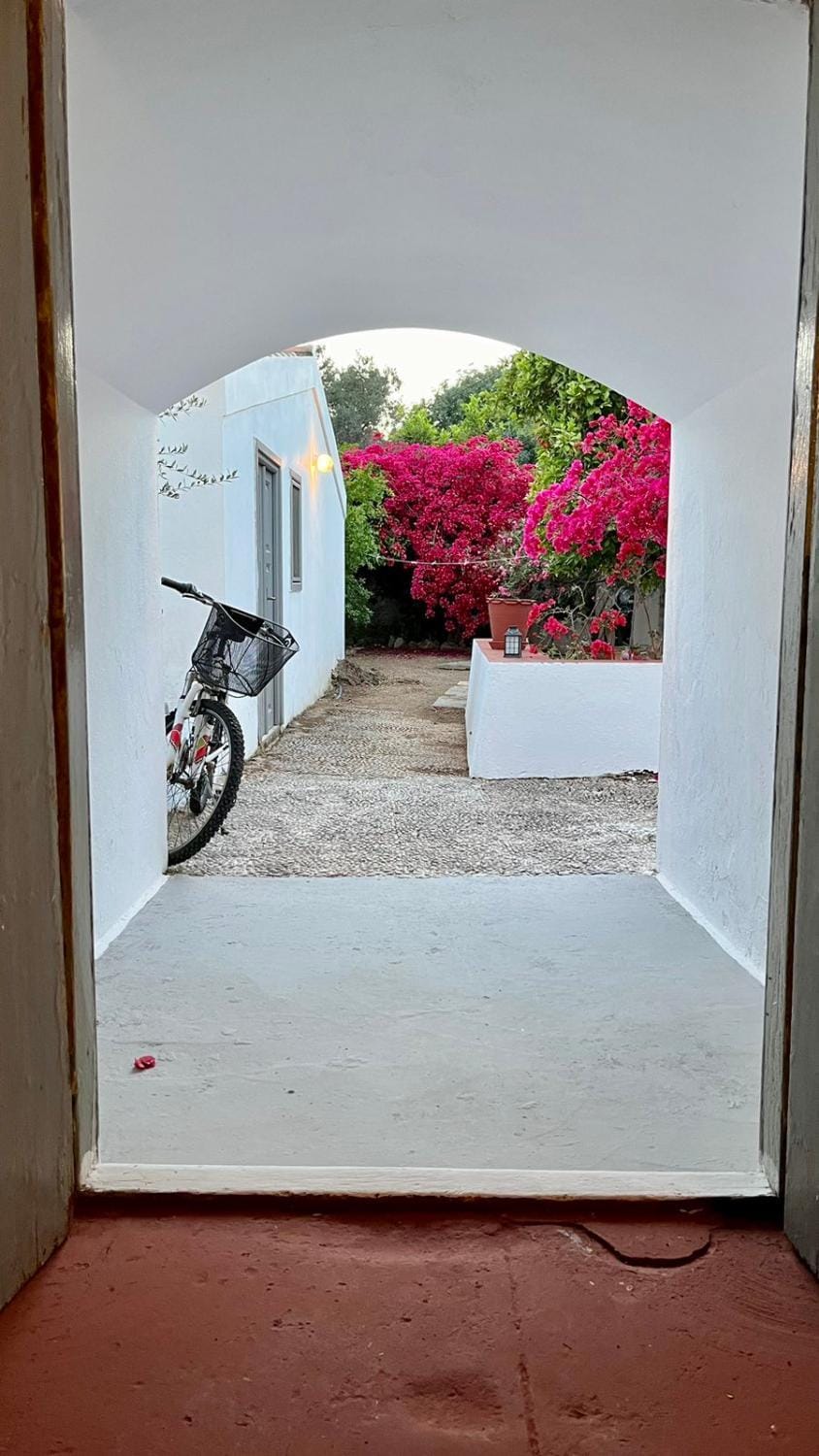 Traditional Detached House House in Spetses