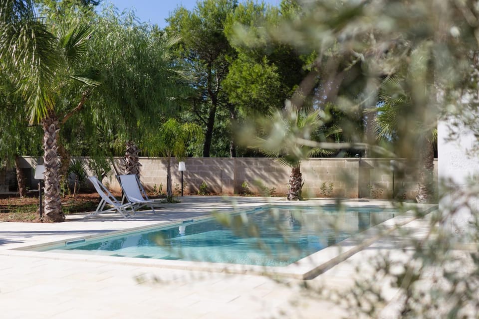 Garden, Guests, Pool view, Swimming pool, group of guests