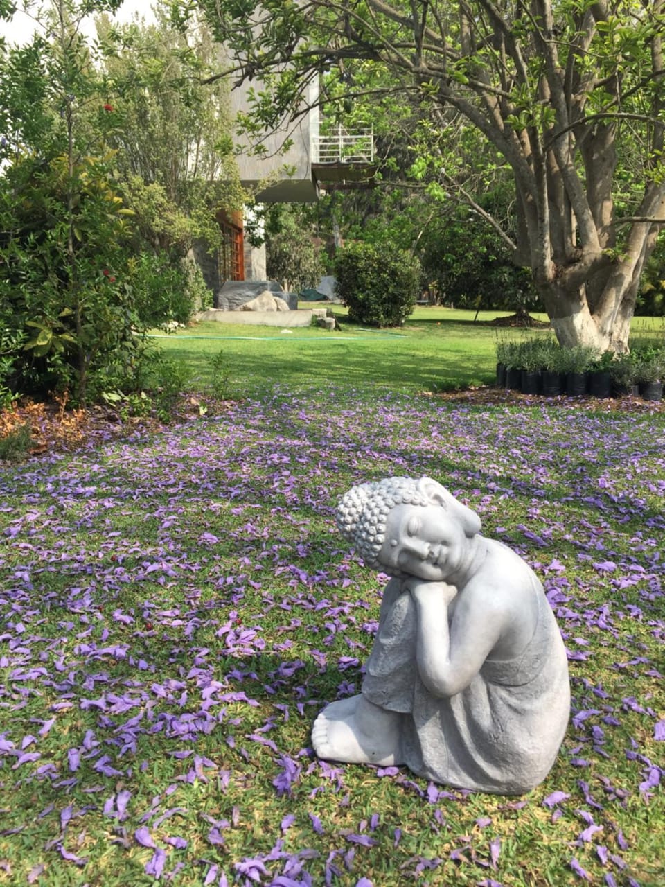 Garden view
