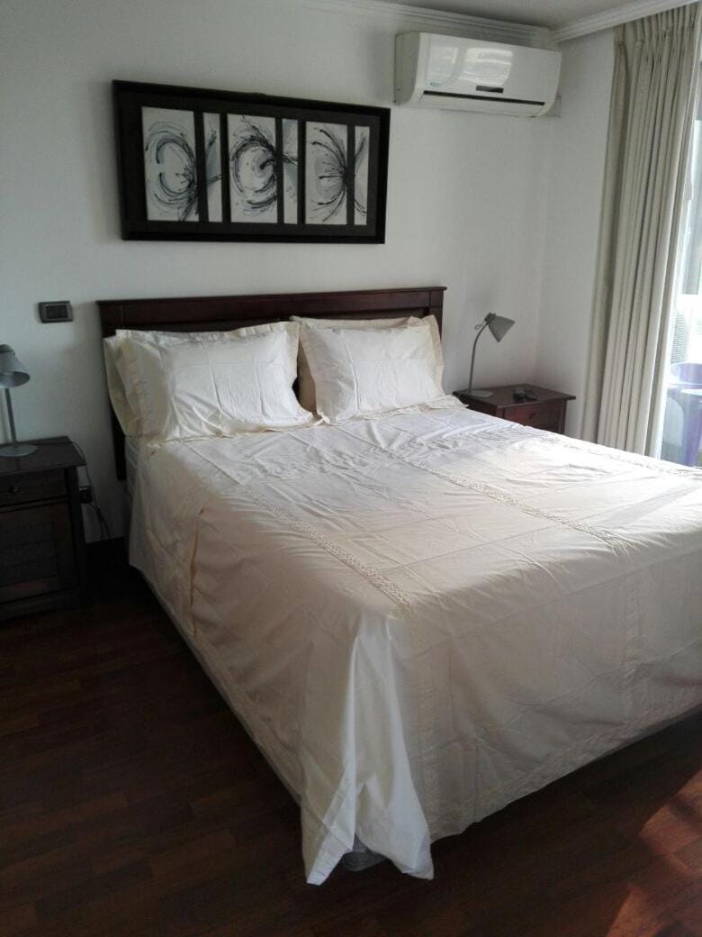 Austral Rentahome Barros Borgoño Apartment in Providencia