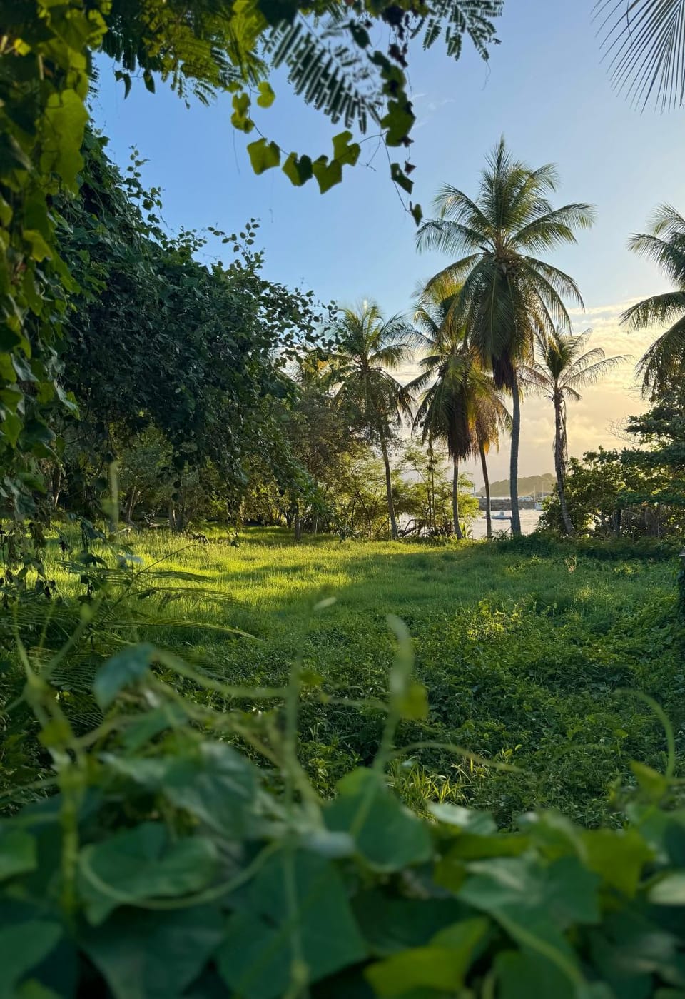 Natural landscape, Garden view