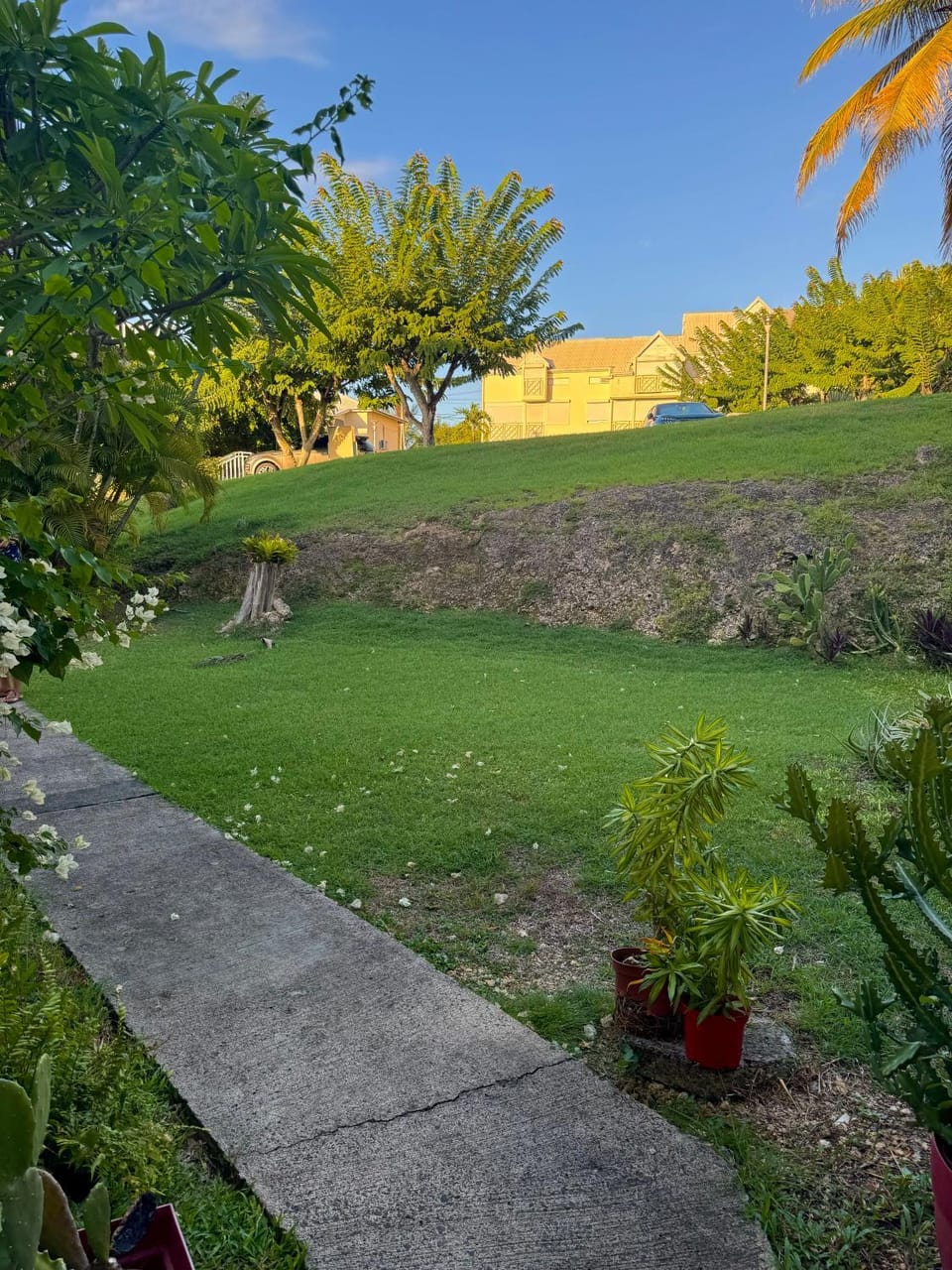 Facade/entrance, Garden