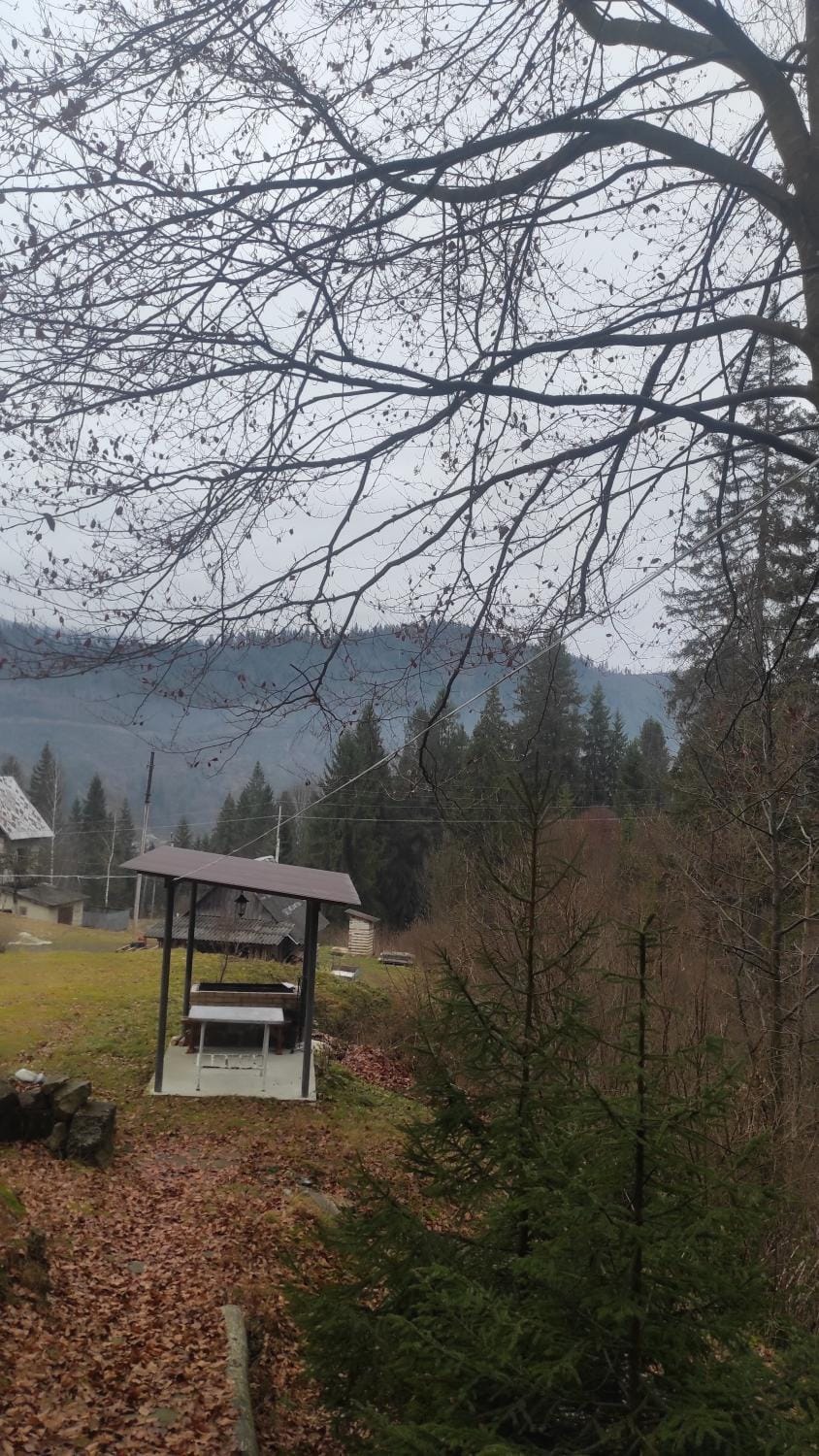 Домашній затишок Vacation rental in Lviv Oblast