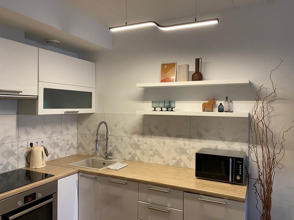 Kitchen or kitchenette, minibar, pet friendly, stove, kitchen