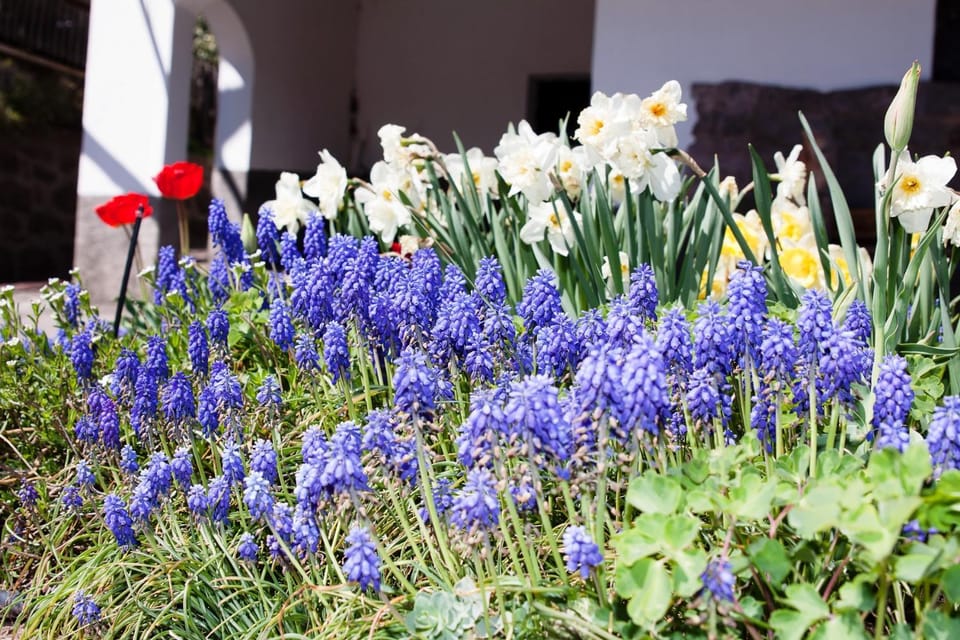 Spring, Natural landscape