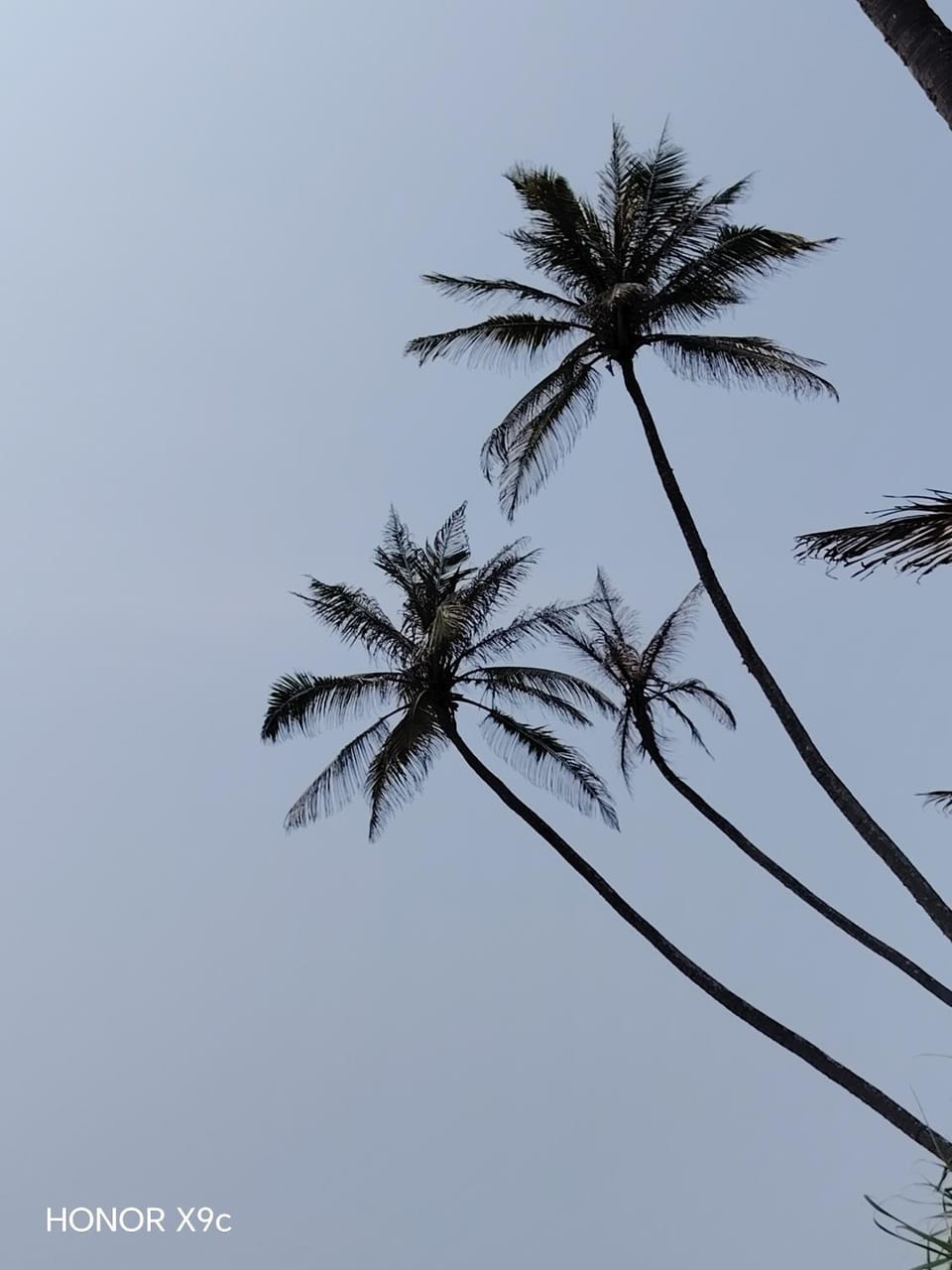 Lasantha Surf, Madiha Vacation rental in Kamburugamuwa