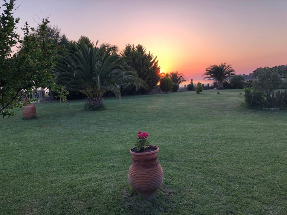 Garden, Sunset