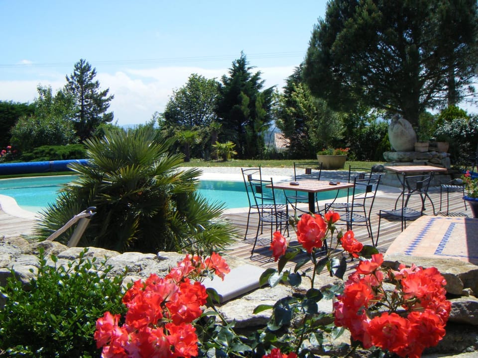Patio, Garden, Garden