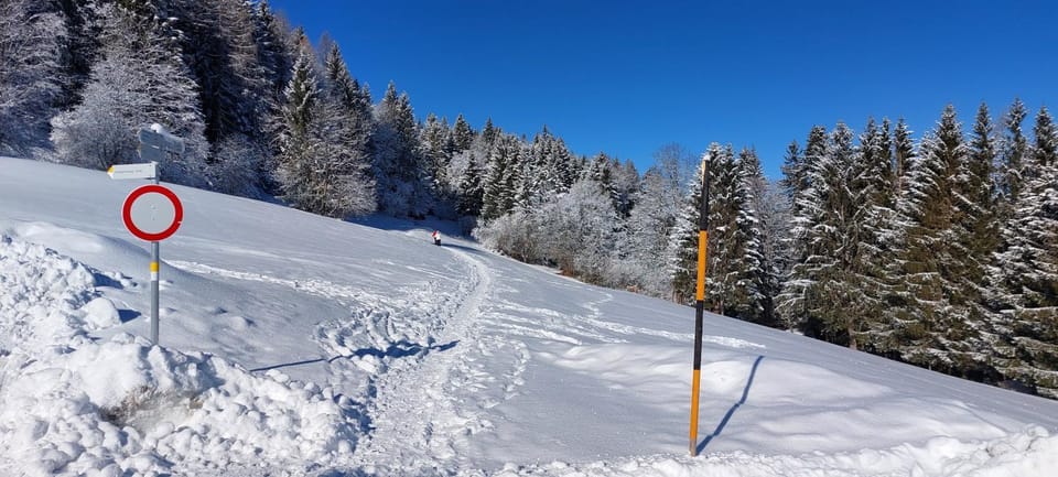 Ferienwohnung Tschengla mit eigener Sonnenterrasse - Wiese - Wlan Apartment in Bürserberg