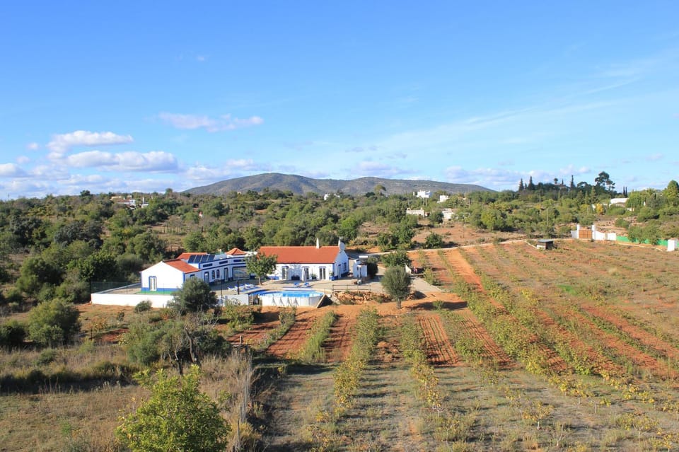 Property building, Natural landscape