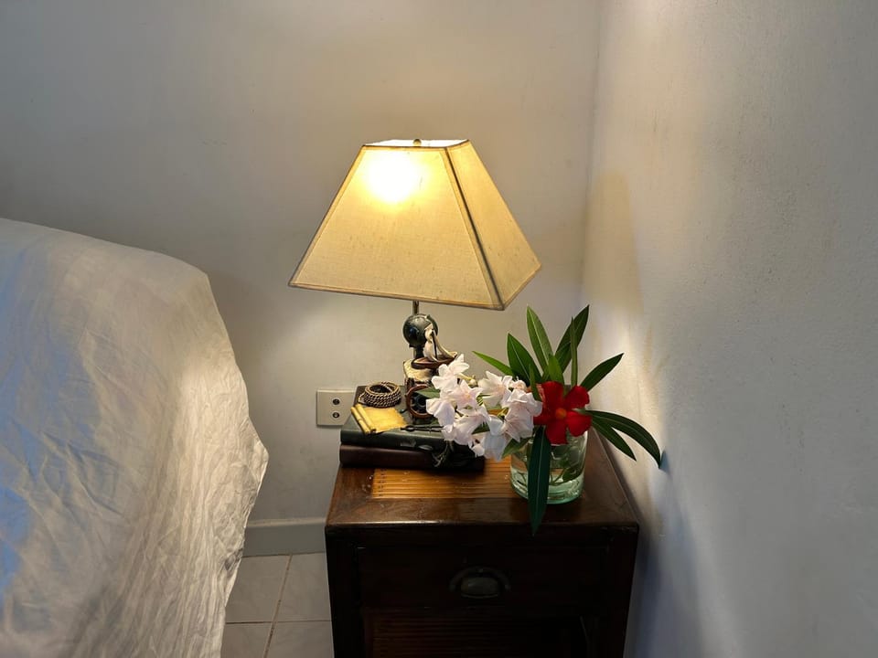 Charmant appartement avec jardin et terrasse Apartment in Corsica