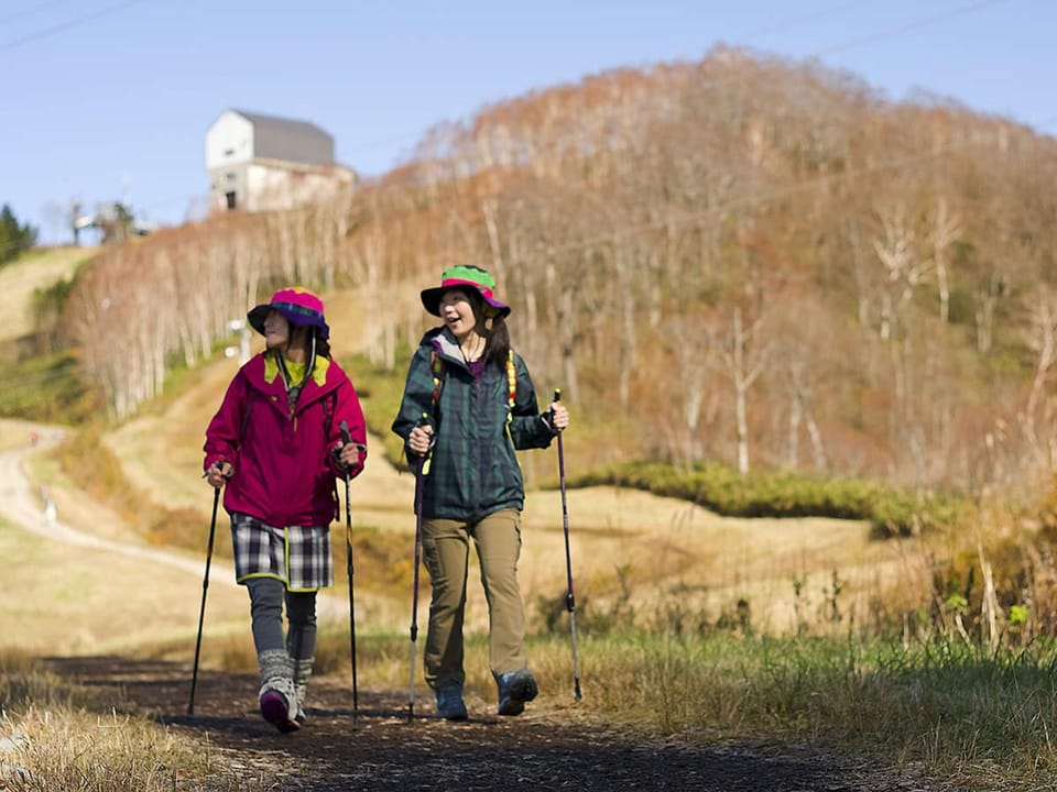 Natural landscape, Activities
