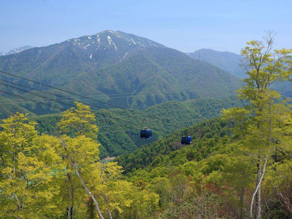 Natural landscape