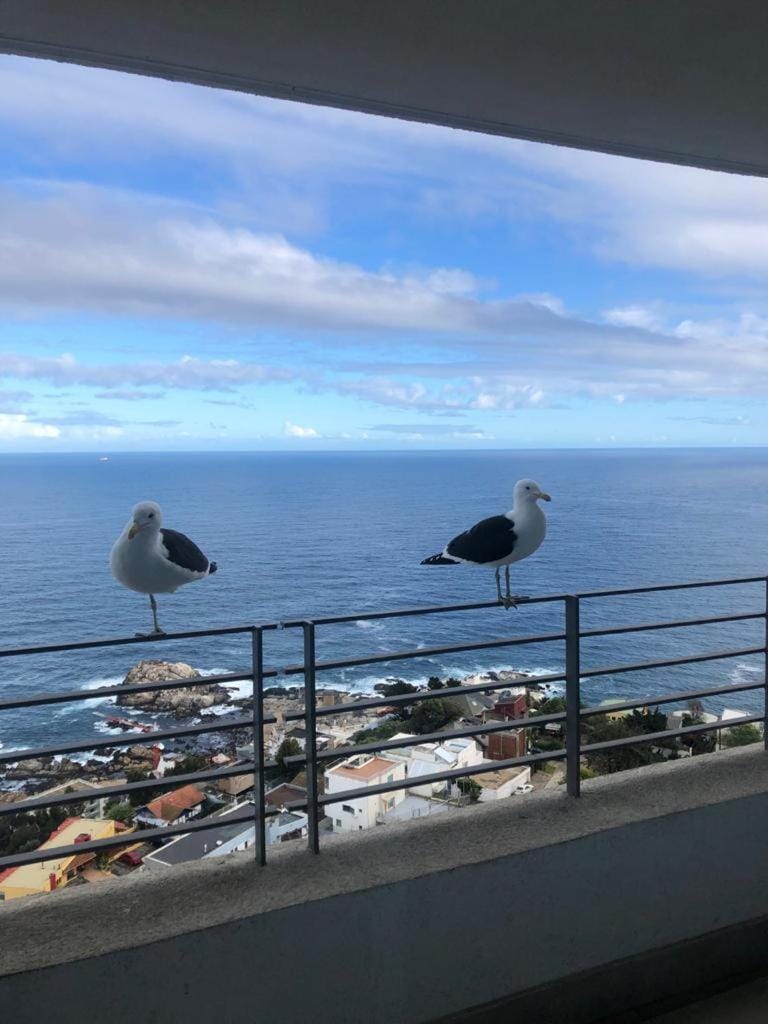 Apartamento Piso 19 Reñaca Vista al Mar Apartment in Vina del Mar
