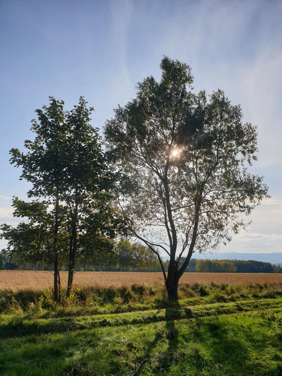 Spring, Day, Natural landscape
