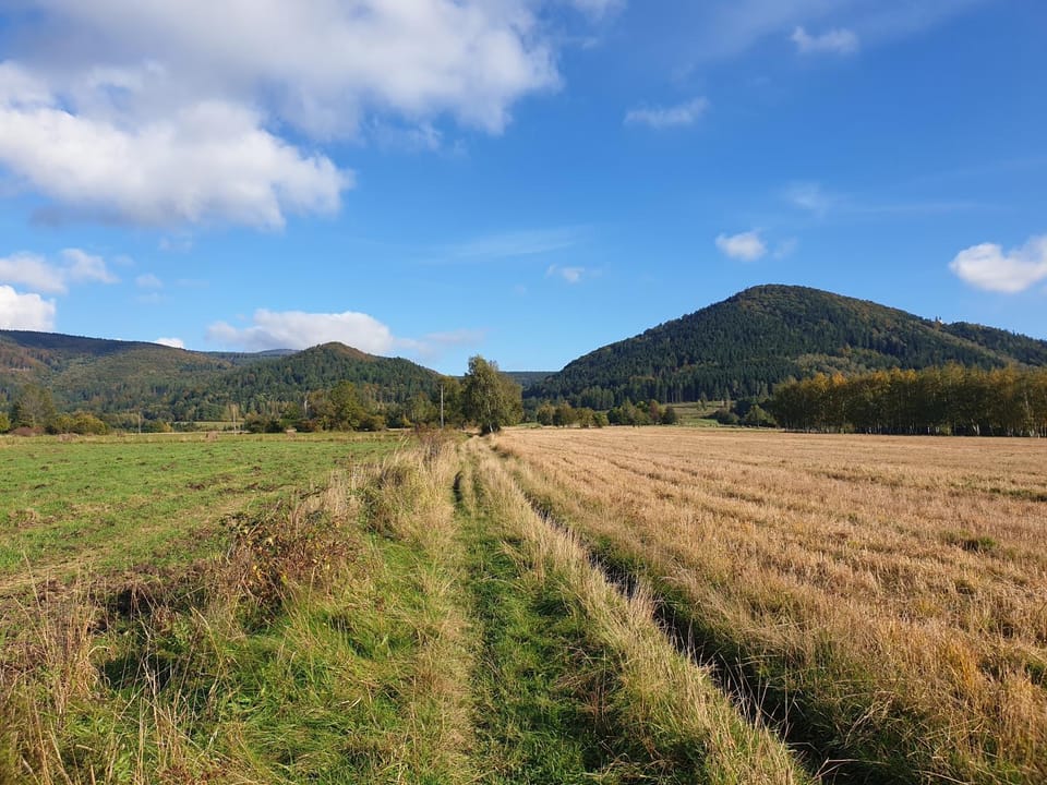 Spring, Day, Natural landscape