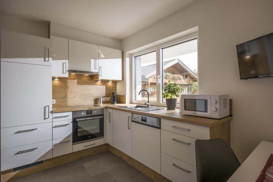 Kitchen or kitchenette, dishwasher, oven, stove