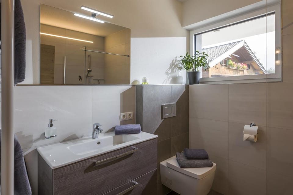 Toilet, Bathroom, towels