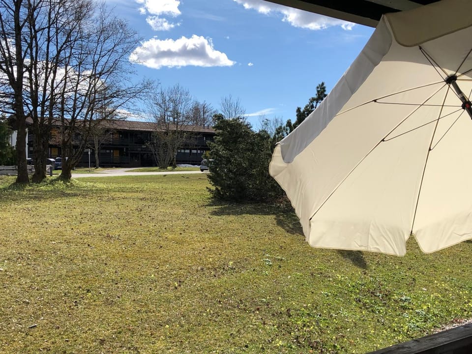 Neighbourhood, Garden, Garden view