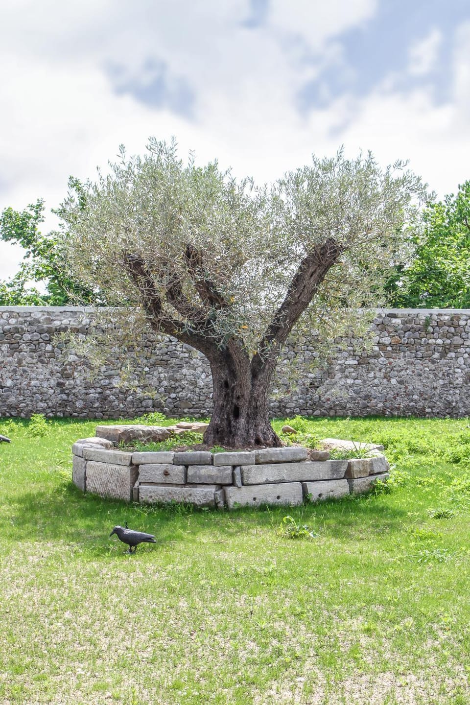 Garden, Decorative detail