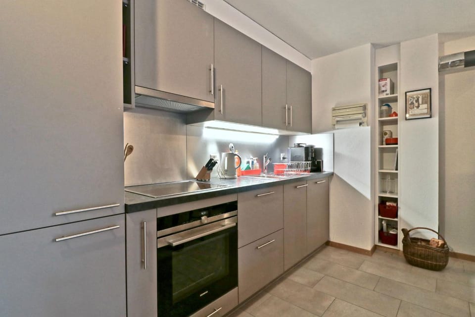 Beautiful apartment in the Mayens de Sion, 500m from the Ours piste - 4 Vallées Apartment in Sion