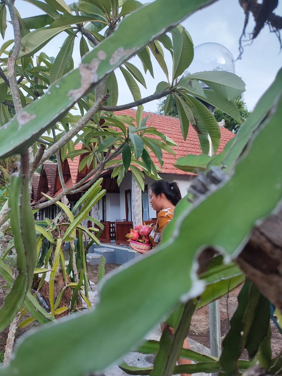 Santhi Guna Bungalow Campground/ 
RV Resort in Nusapenida