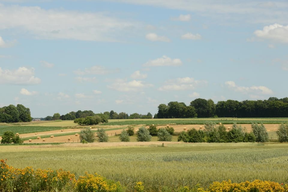 Natural landscape, View (from property/room)