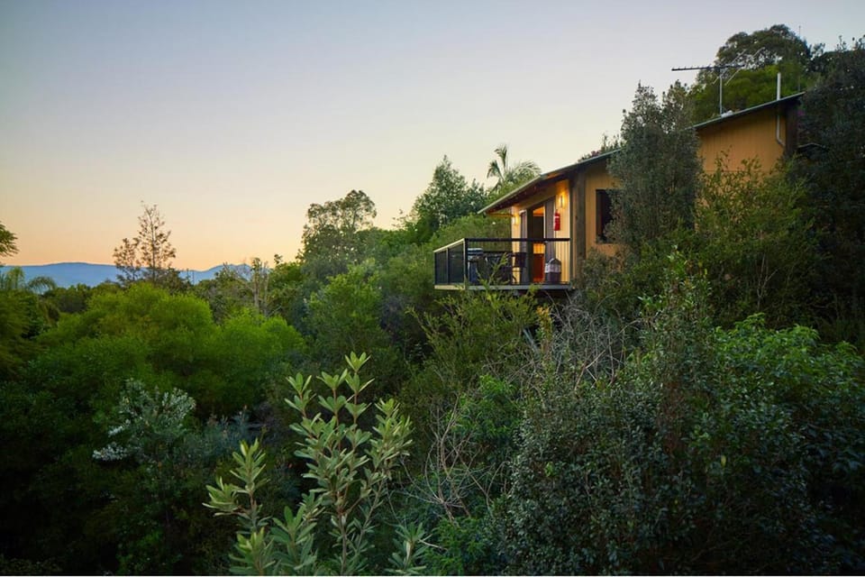 Garden, Mountain view, Mountain view