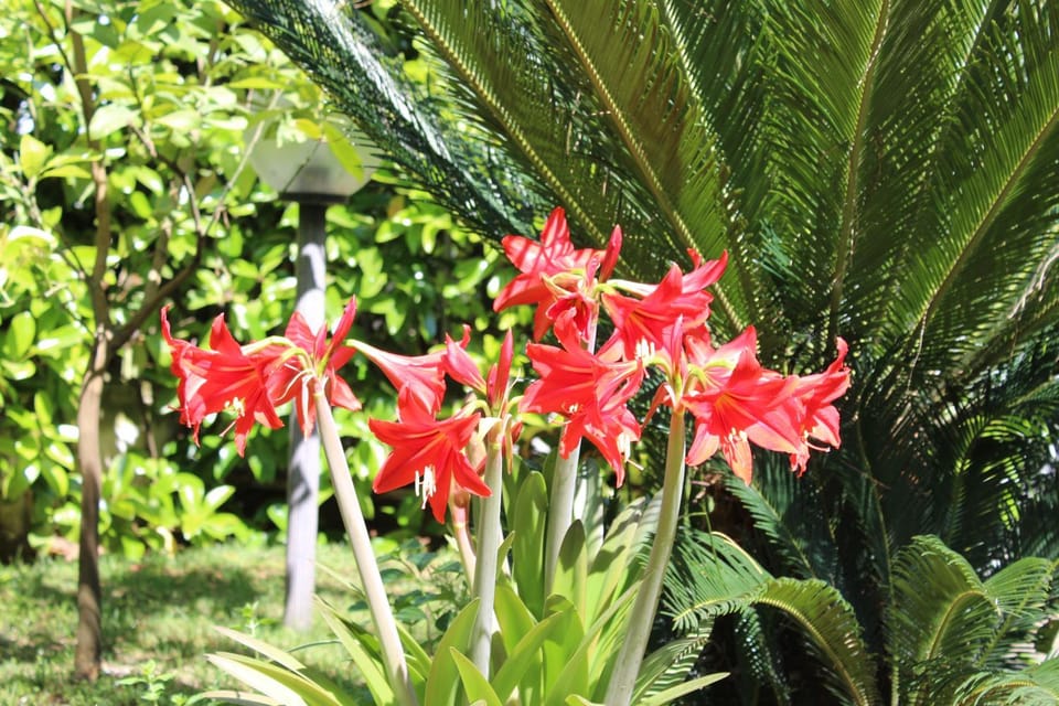 Decorative detail, Garden view