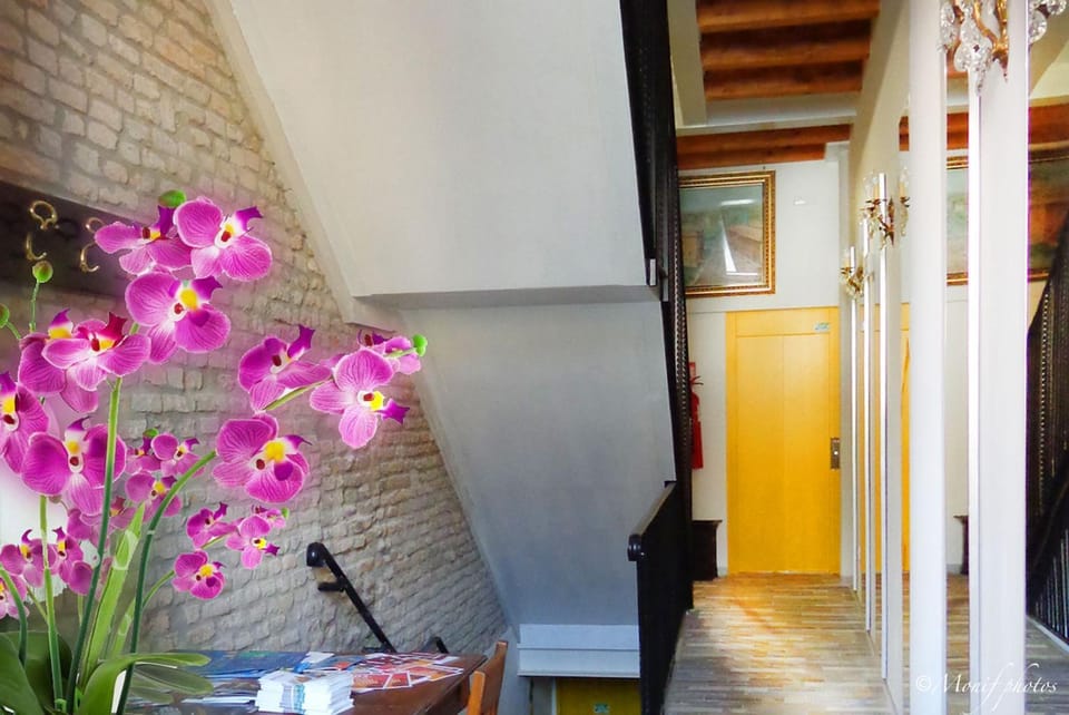 Decorative detail, Area and facilities