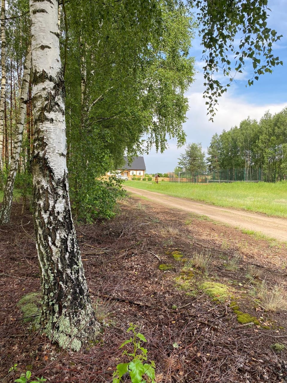 Natural landscape