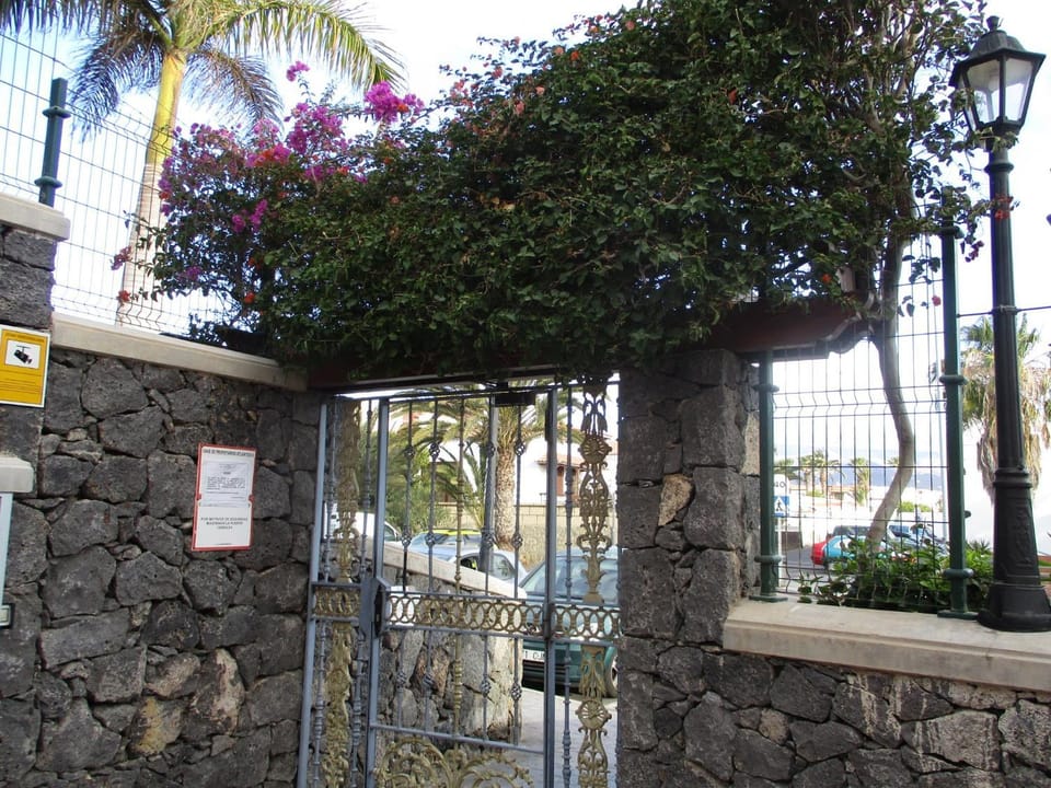 Patio, Facade/entrance, Garden