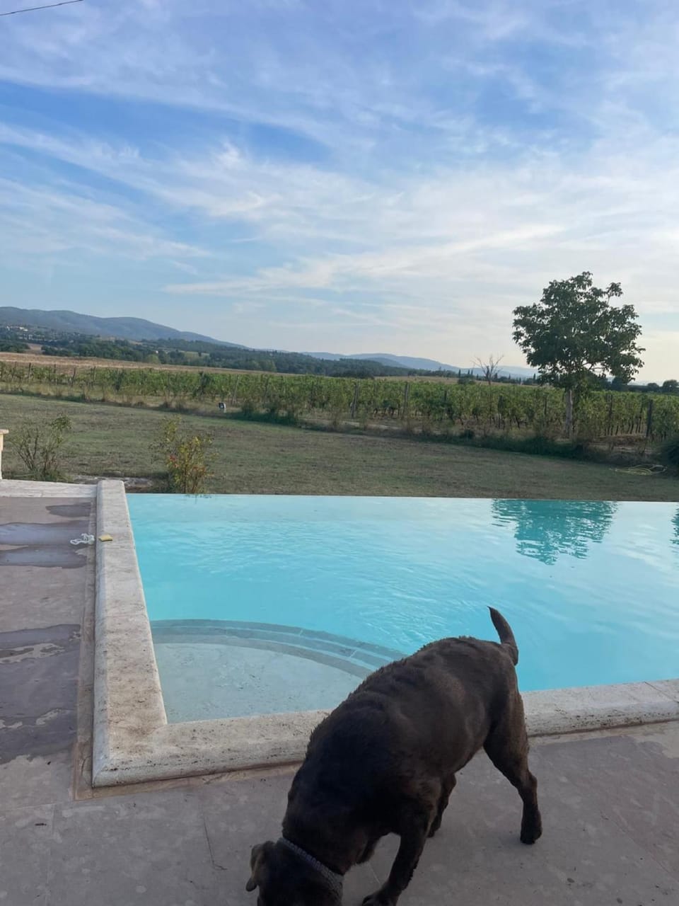 Pool view, Pool view, Swimming pool