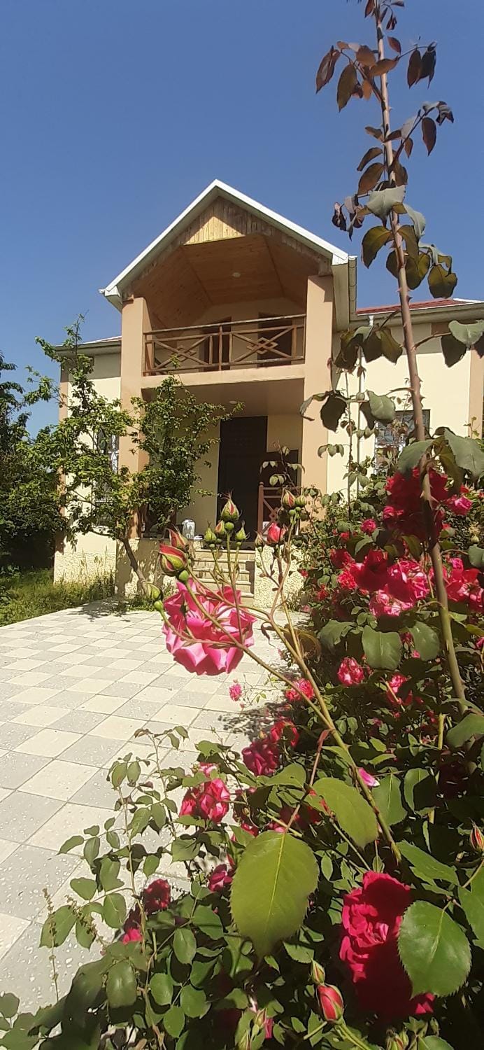 Property building, Day, Garden, Garden view