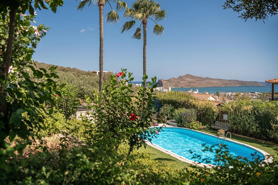 Garden, Garden, Garden view, Pool view, Swimming pool, Swimming pool