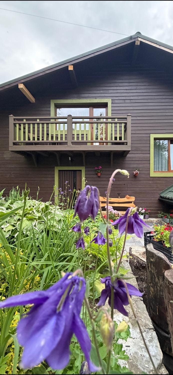 Property building, Day, Garden, Garden view