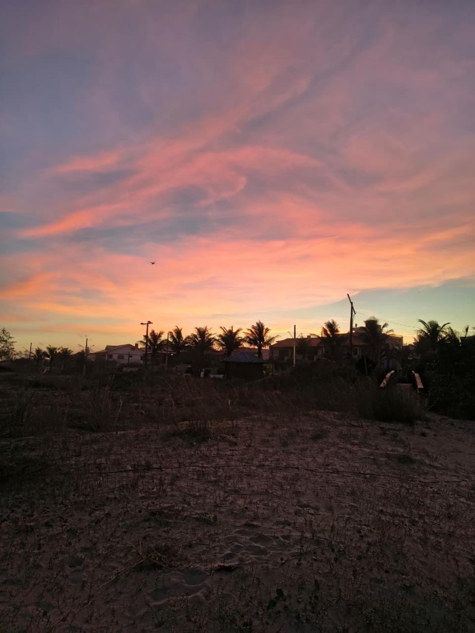 Natural landscape