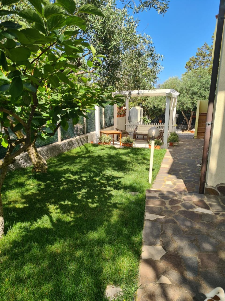 Garden view
