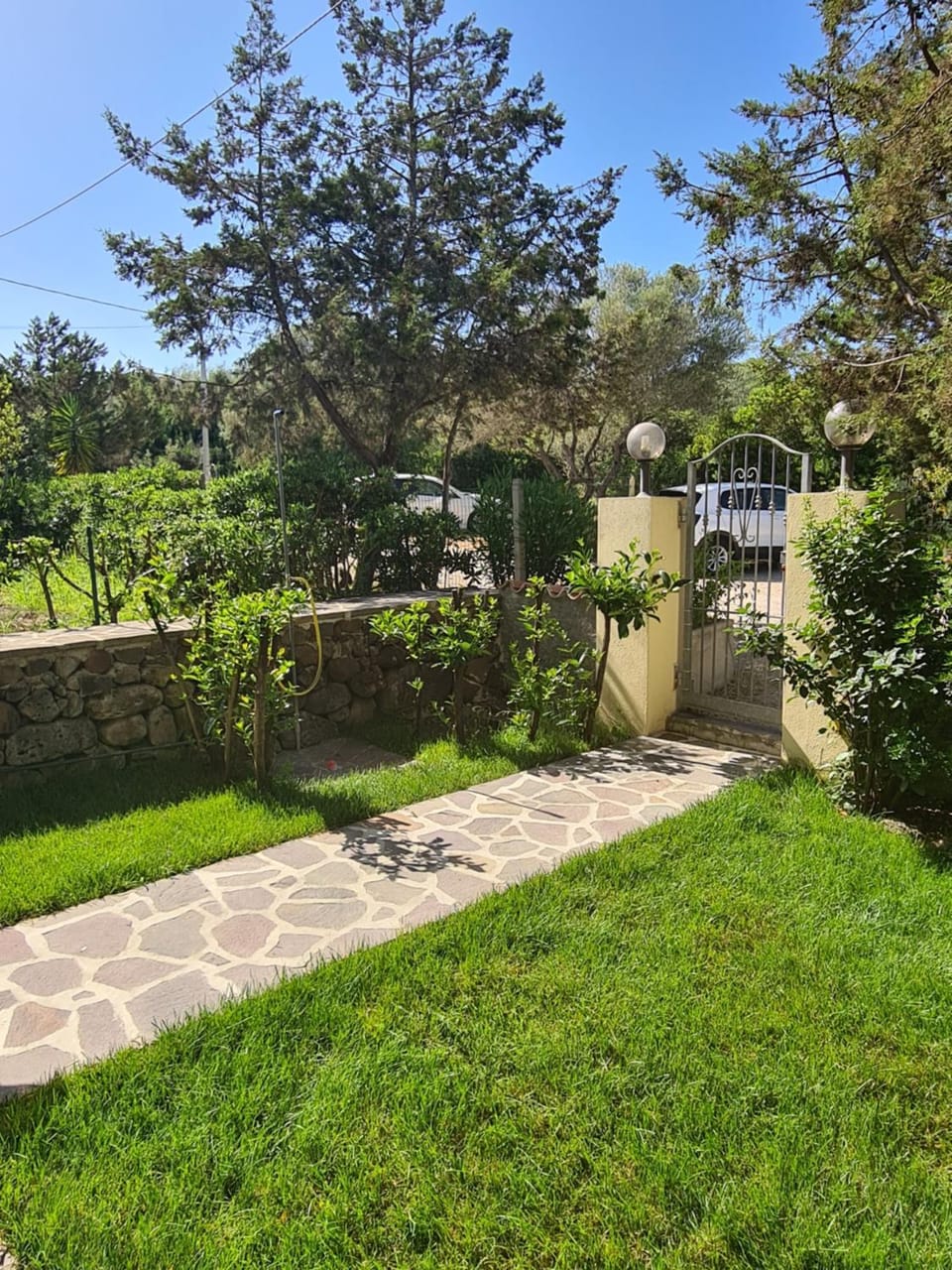 Garden view