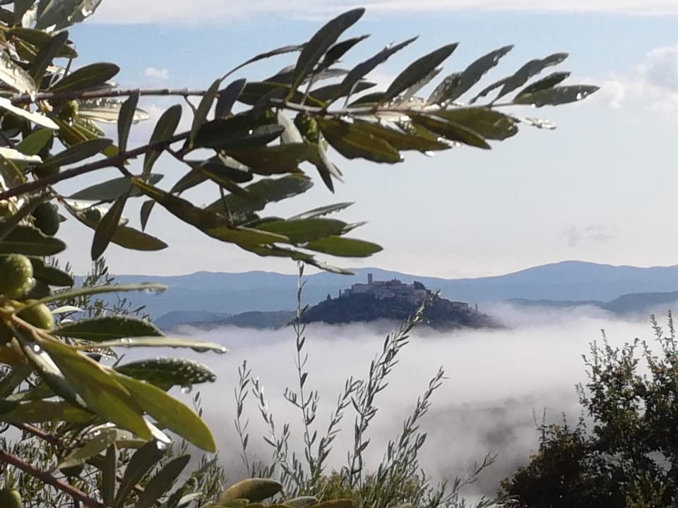 Nearby landmark, Neighbourhood, Natural landscape, Hiking, Cycling