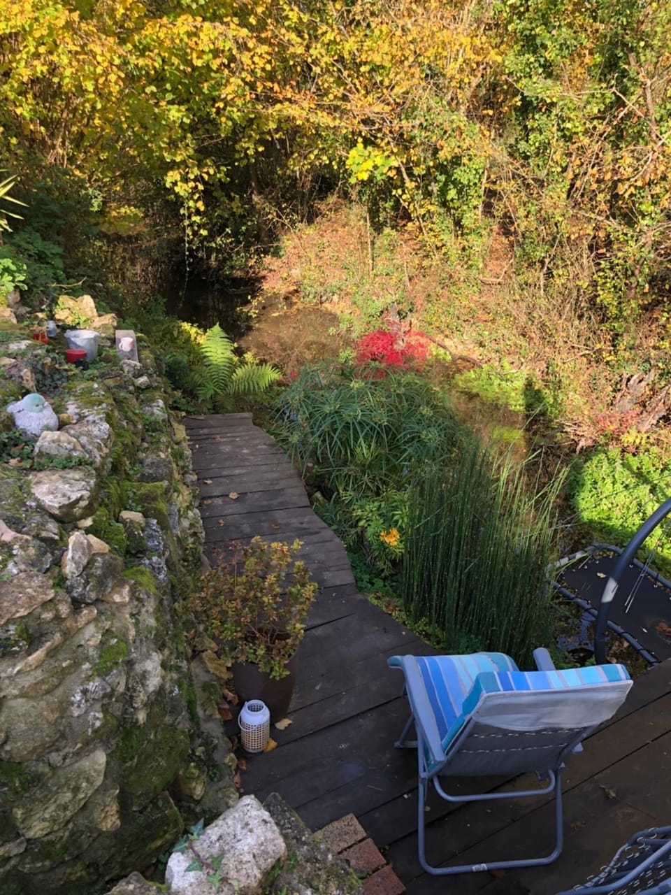 Garden view