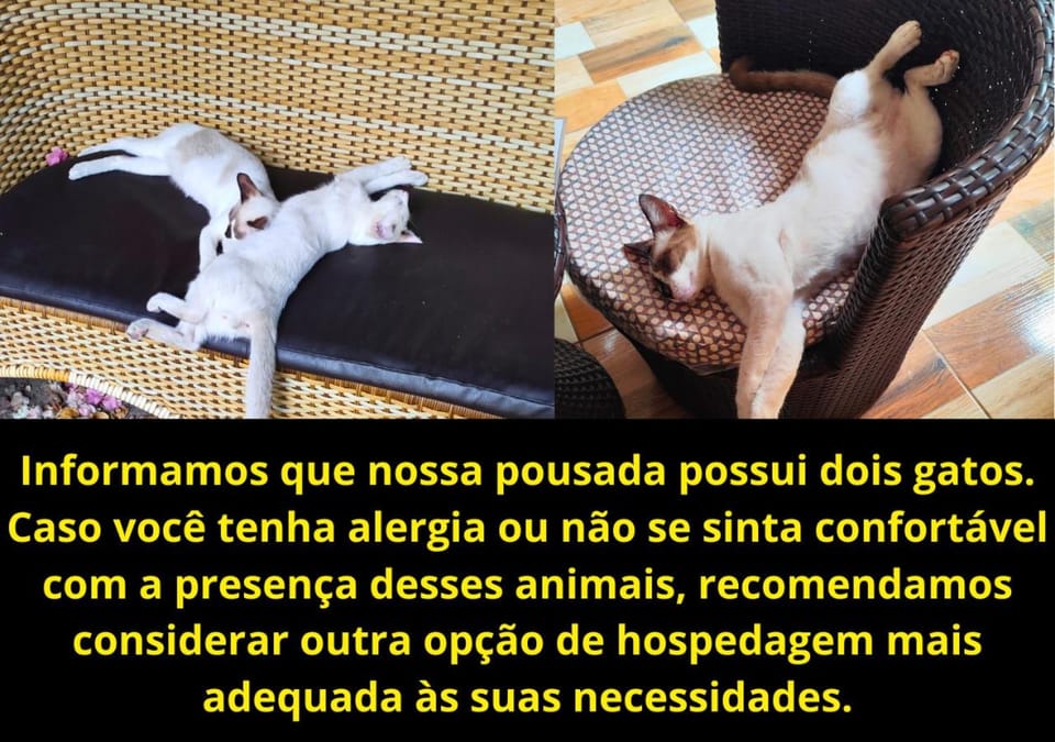 Pets