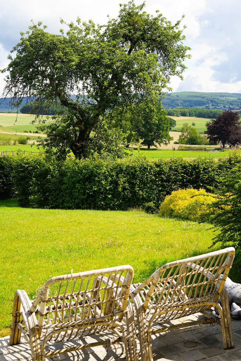 Natural landscape, Garden view