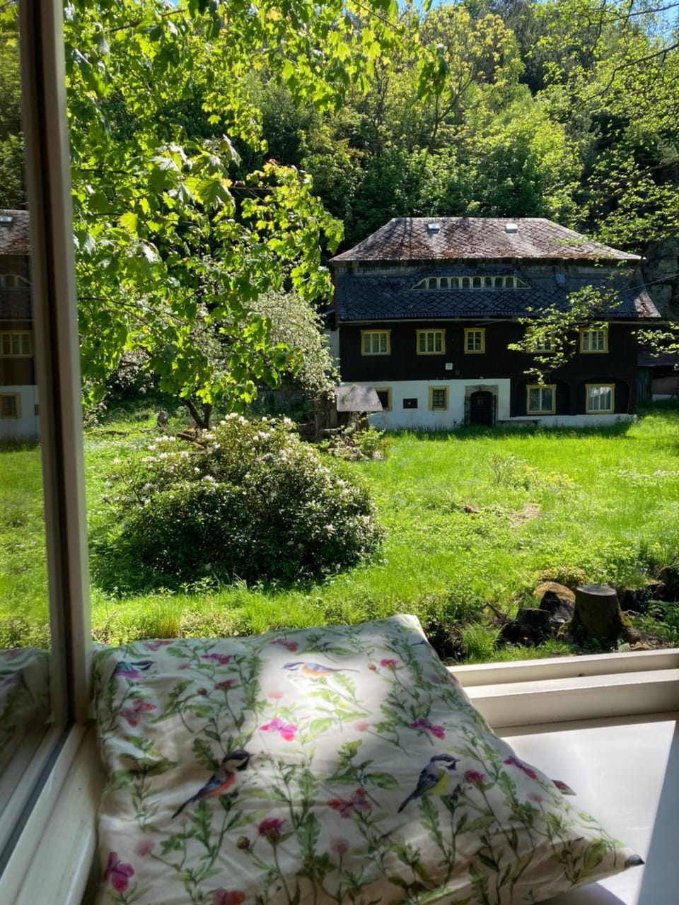 Garden view
